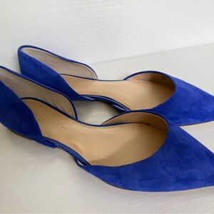 Banana Republic Cobalt Blue Suede Pointed D'Orsay Flats